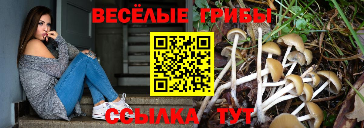 Псилоцибиновые грибы прущие грибы Киржач