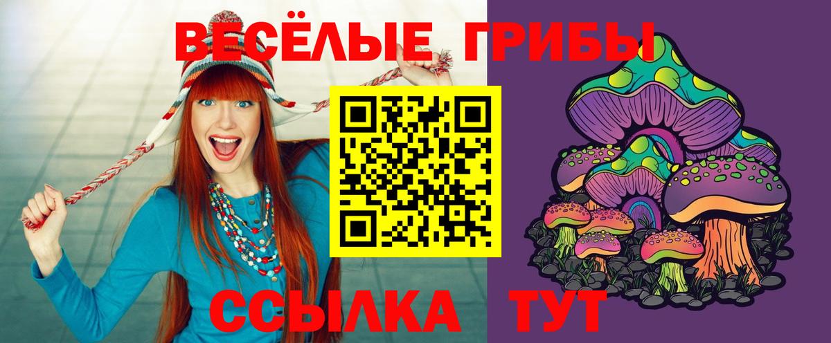 Псилоцибиновые грибы MAGIC MUSHROOMS  где можно купить   Псилоцибиновые грибы прущие грибы  Киржач  Вход с VPN 